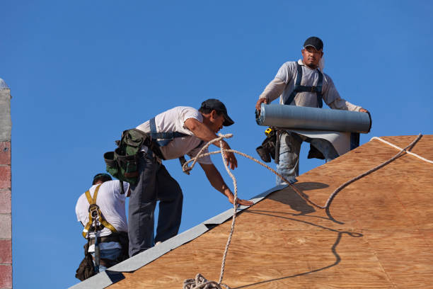 Roof Repair Estimates in Elwood, IL